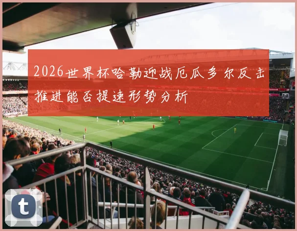2026世界杯哈勒迎战厄瓜多尔反击推进能否提速形势分析