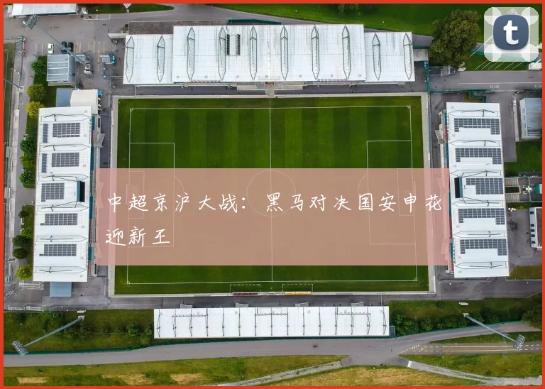 中超京沪大战:黑马对决国安申花迎新王