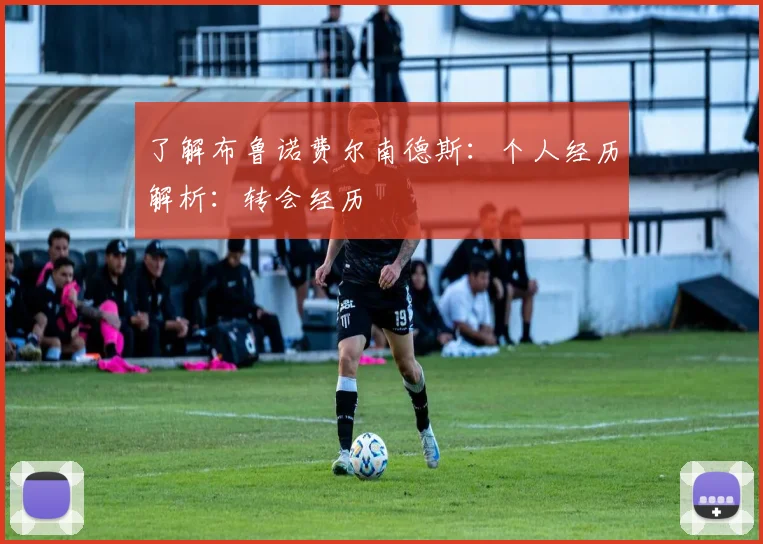 了解布鲁诺费尔南德斯：个人经历解析：转会经历