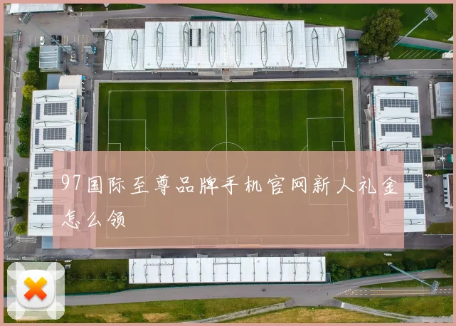 97国际至尊品牌手机官网新人礼金怎么领