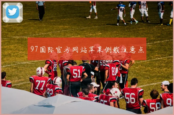 97国际官方网站苹果侧载注意点