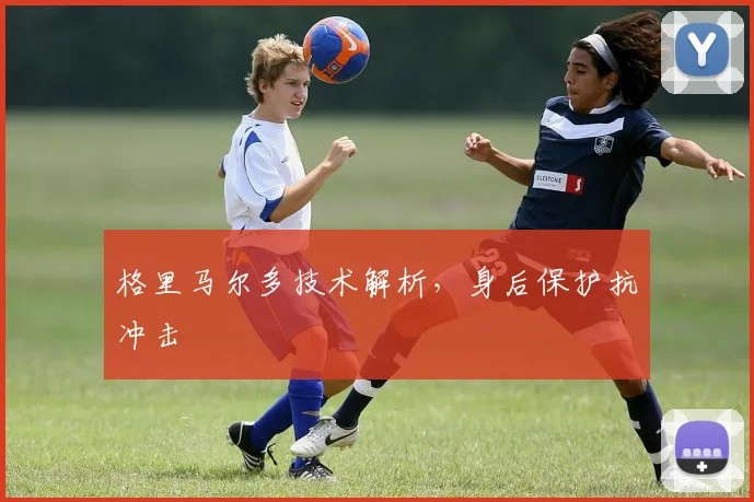 格里马尔多技术解析,身后保护抗冲击